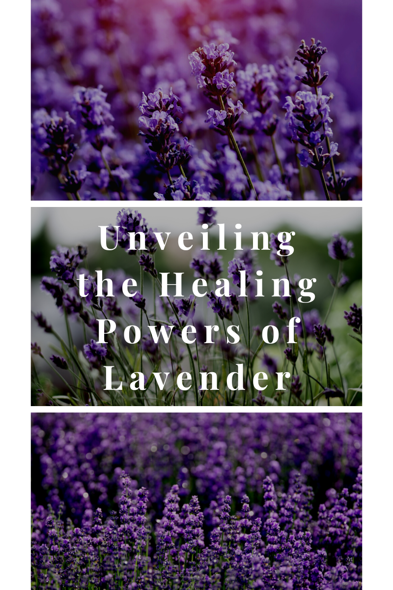 Unveiling the Healing Powers of Lavender